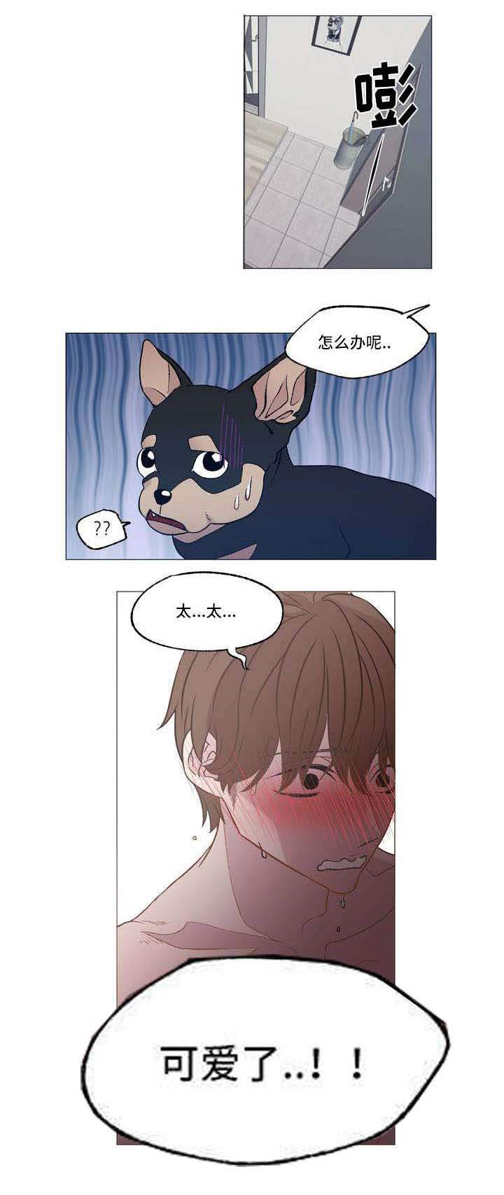 最终挑选第1话图