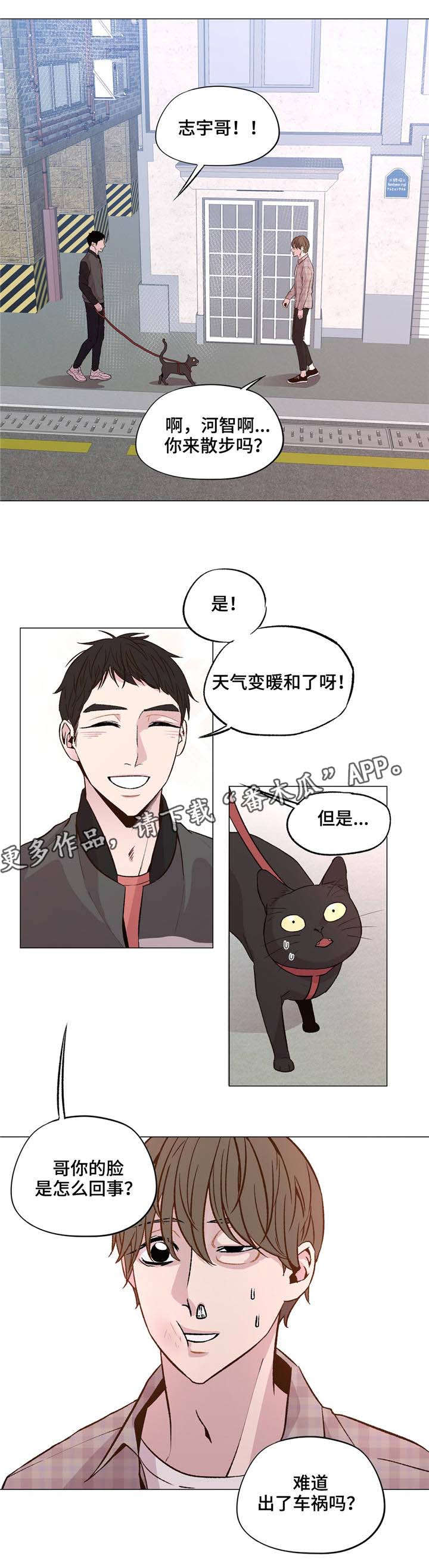 最终挑选第31话图