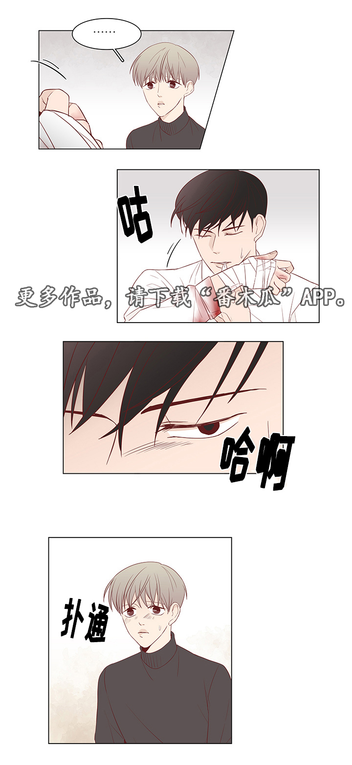 终局赢家第29话图