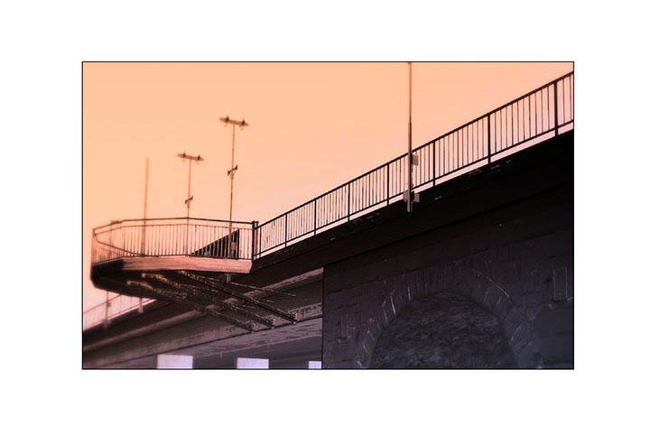 真假社长第32话图