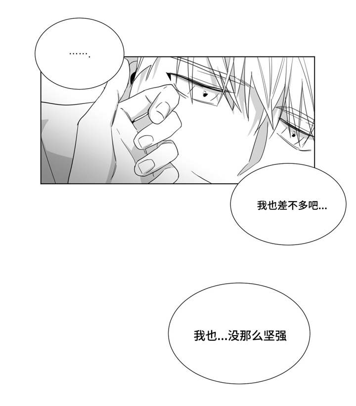重逢之约第28话图
