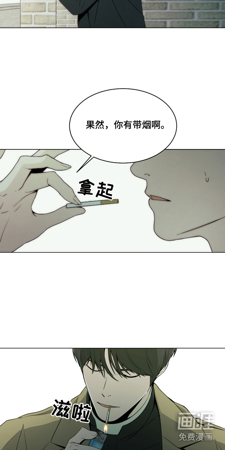 致命诱饵第12话图