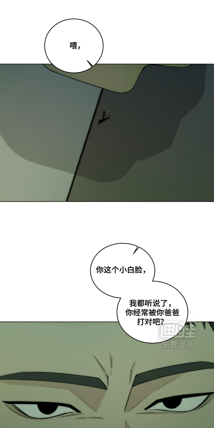 致命诱饵第19话图