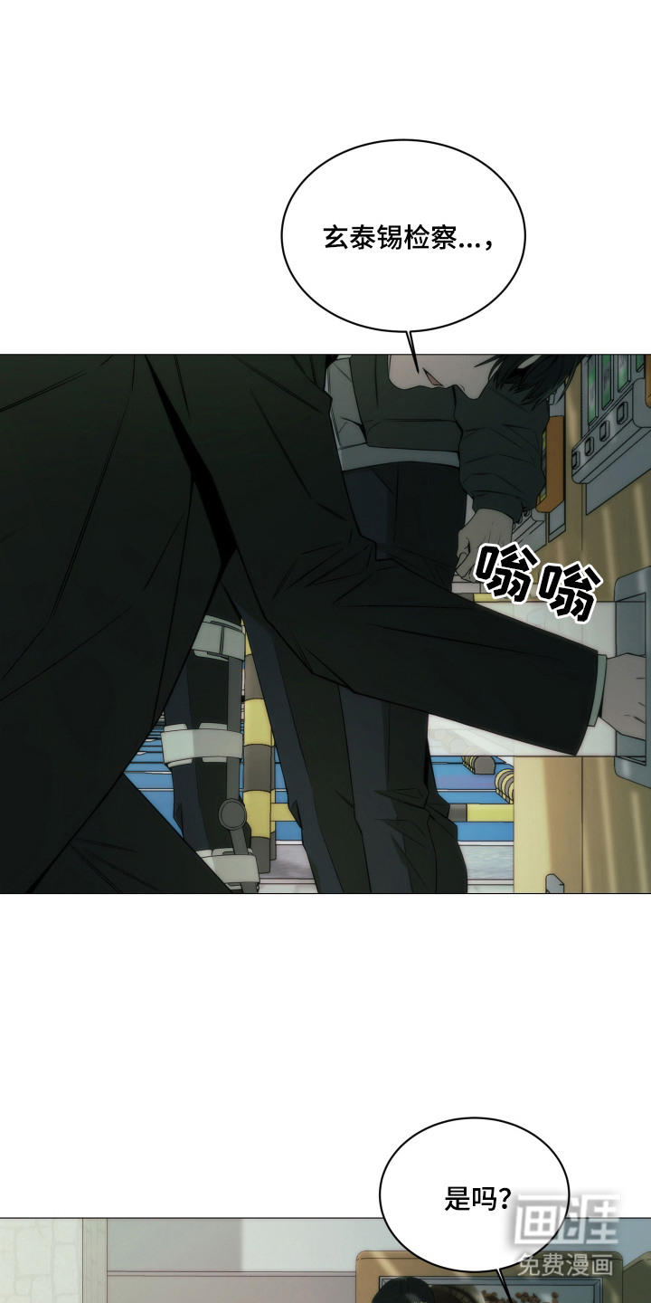 致命诱饵第9话图