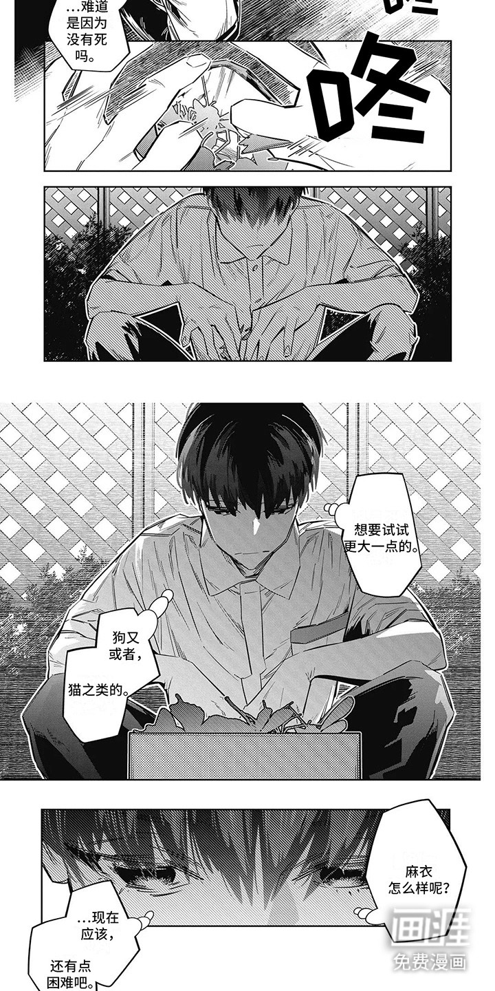 拯救哥哥计划 第16话 第5页