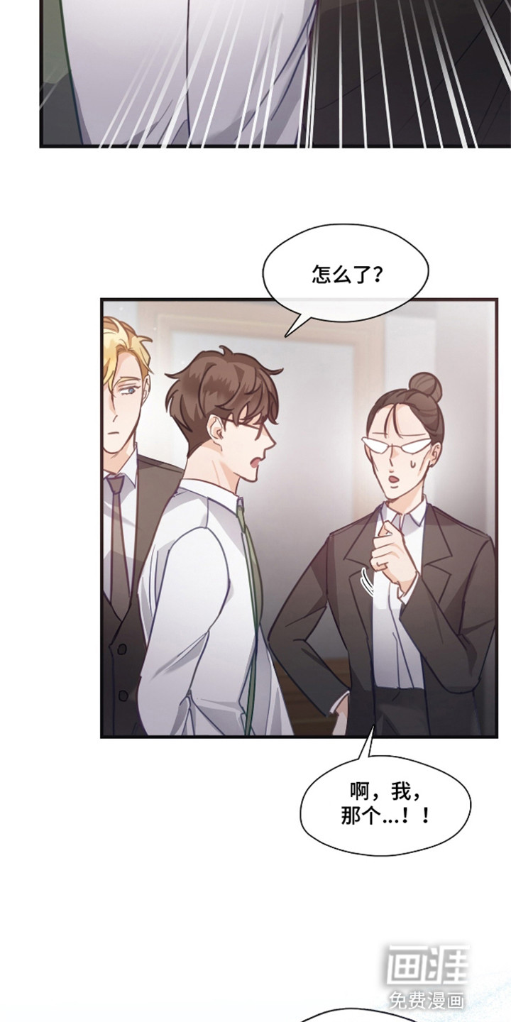 总裁的私人秘书第11话图