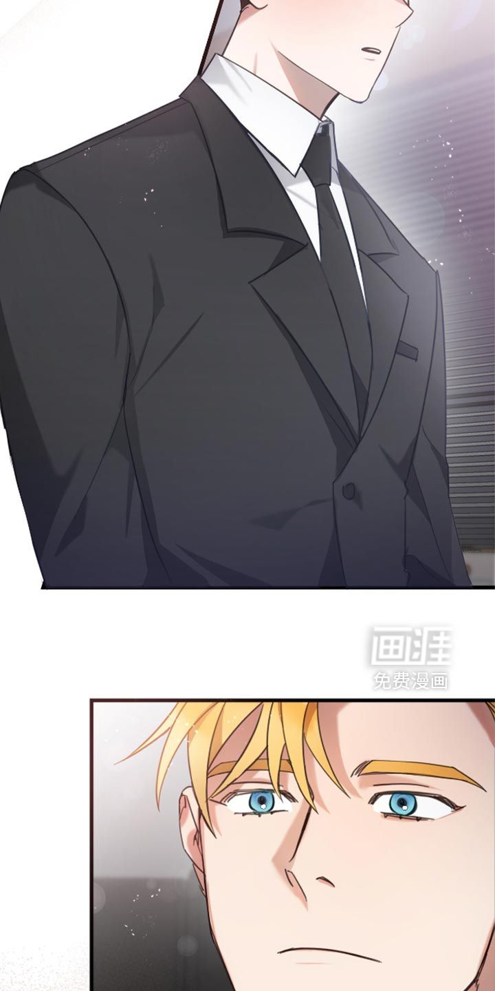 总裁的私人秘书第13话图