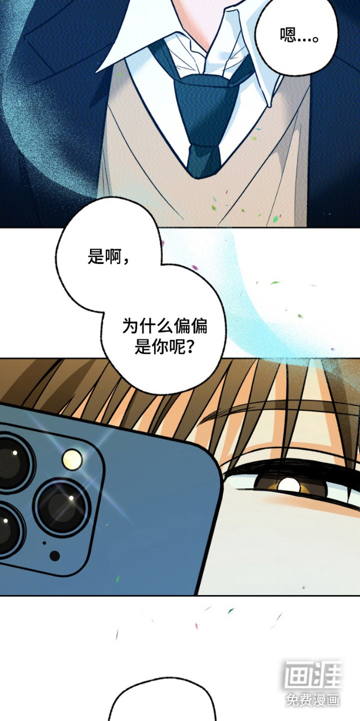 职业开发人员第10话图