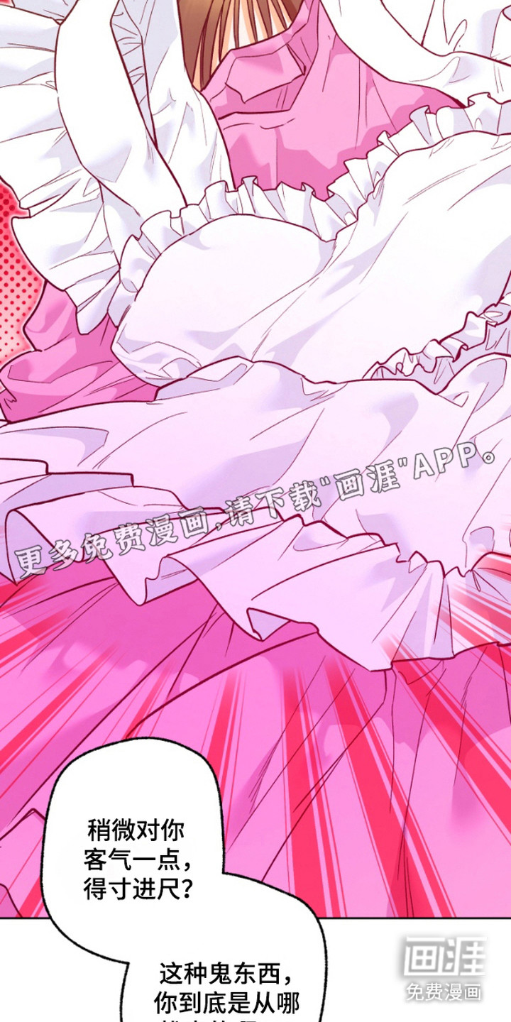 职业开发人员第10话图