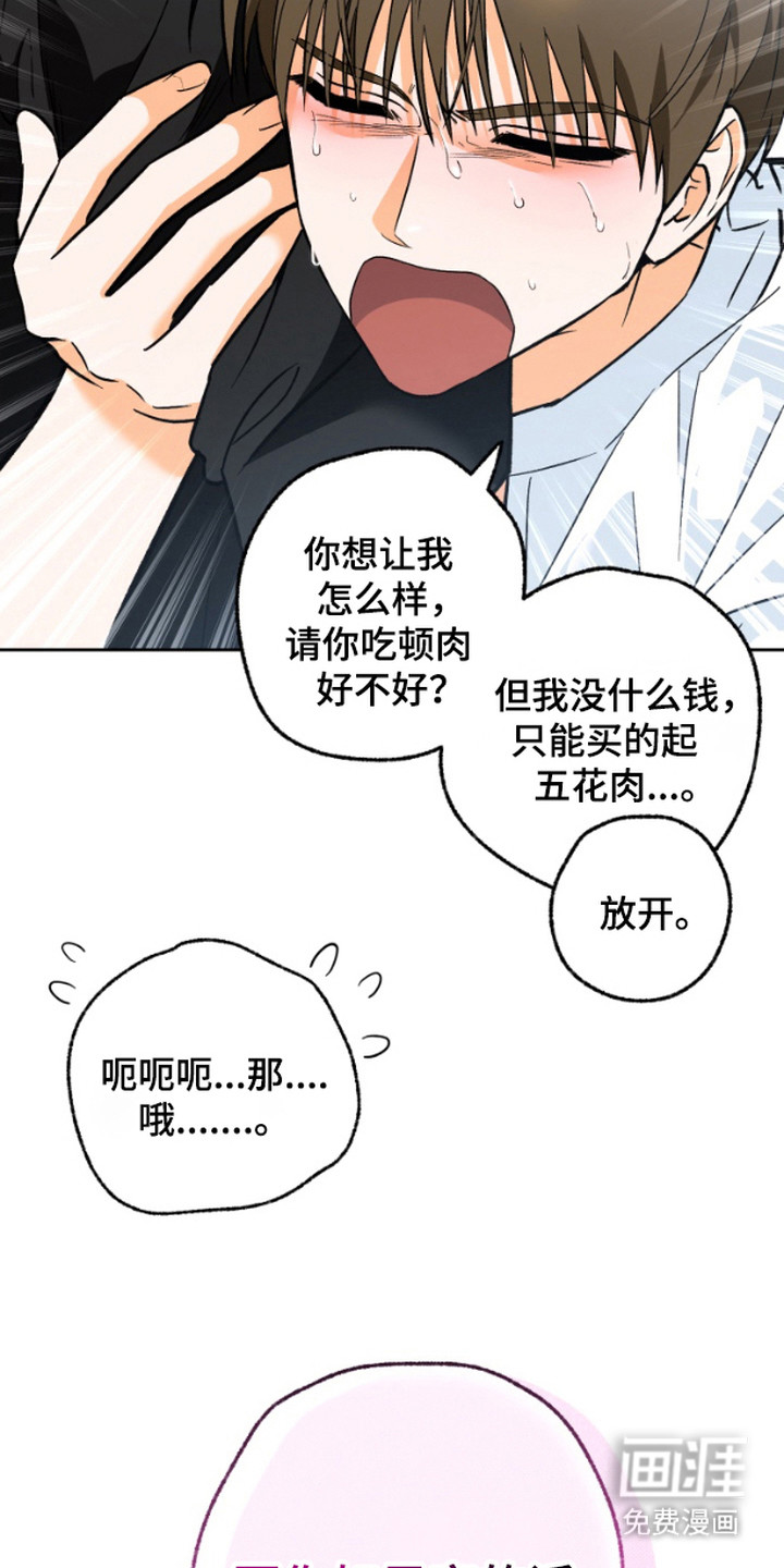 职业开发人员第10话图