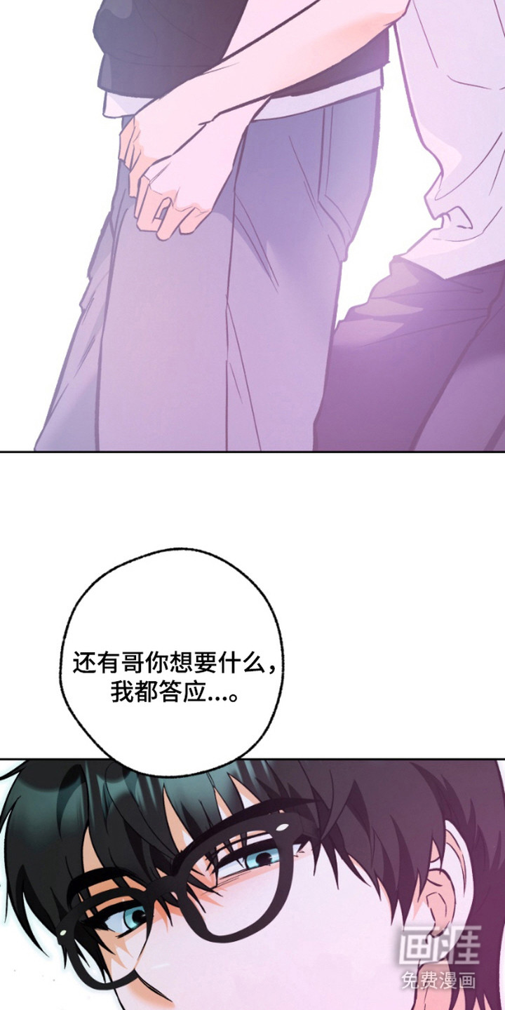 职业开发人员第10话图