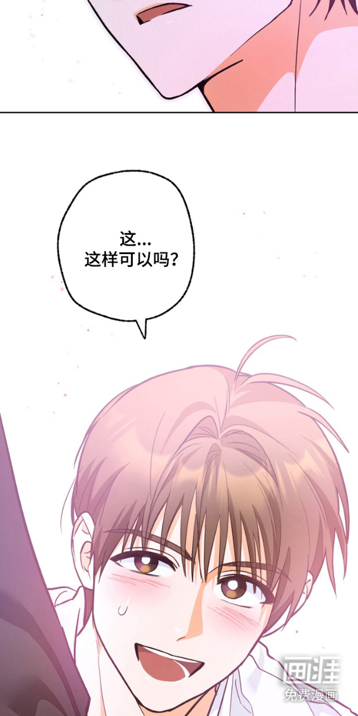 职业开发人员第10话图