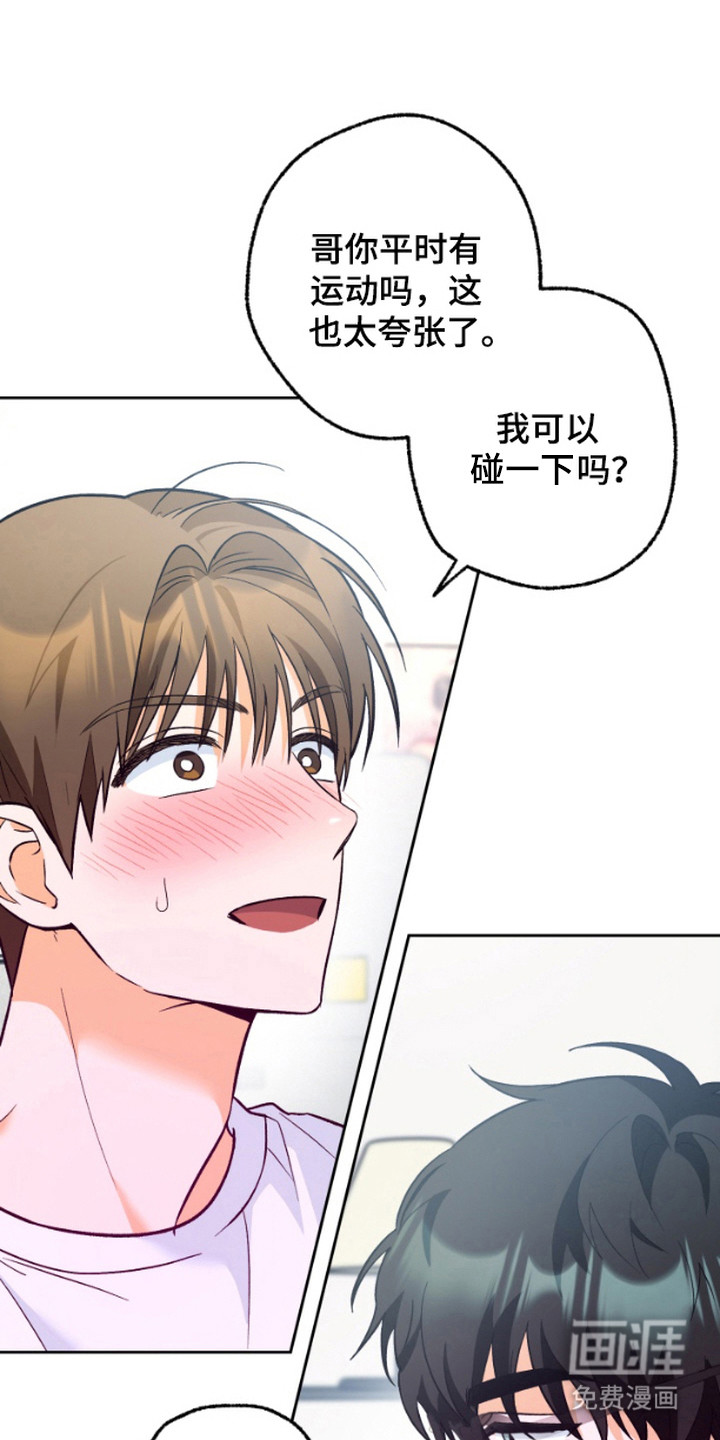 职业开发人员第12话图