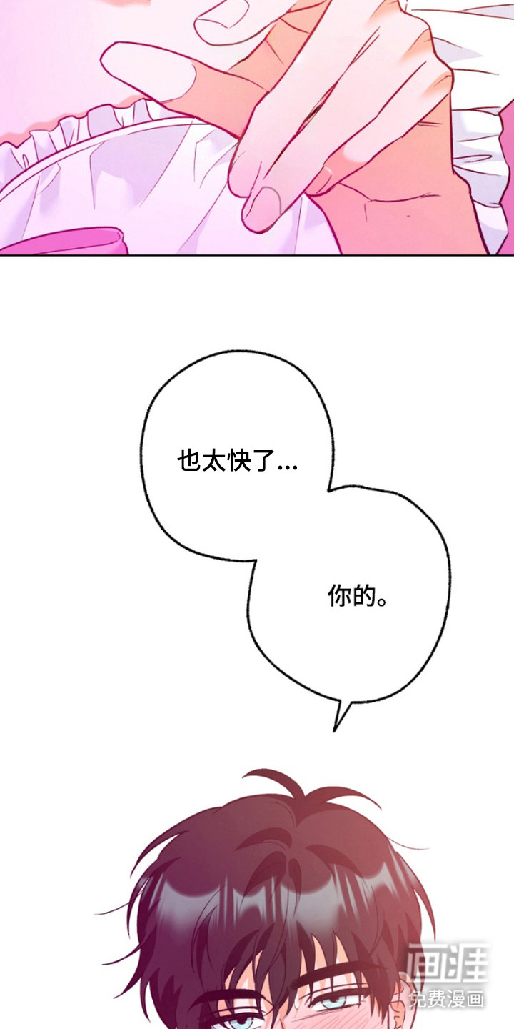 职业开发人员第13话图