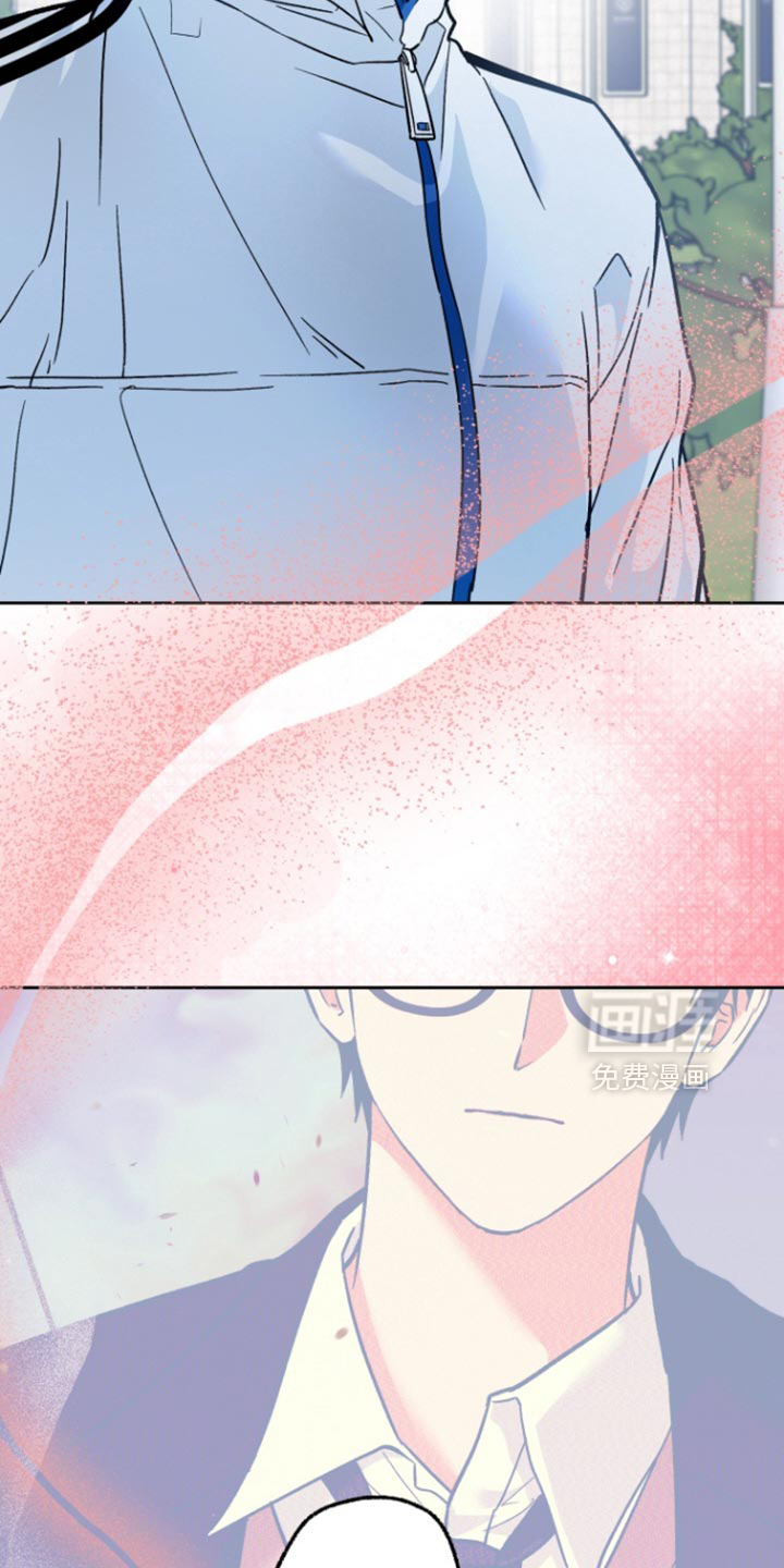 职业开发人员第16话图