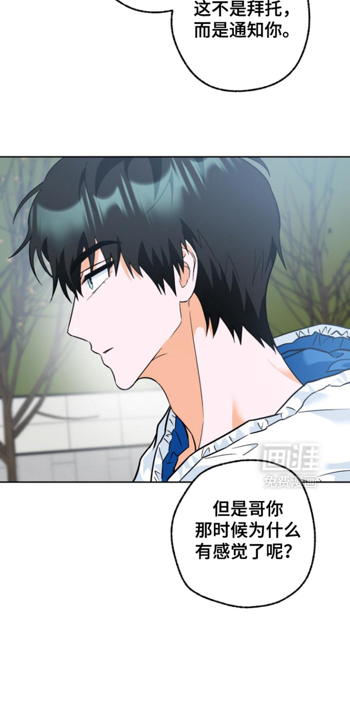 职业开发人员第17话图