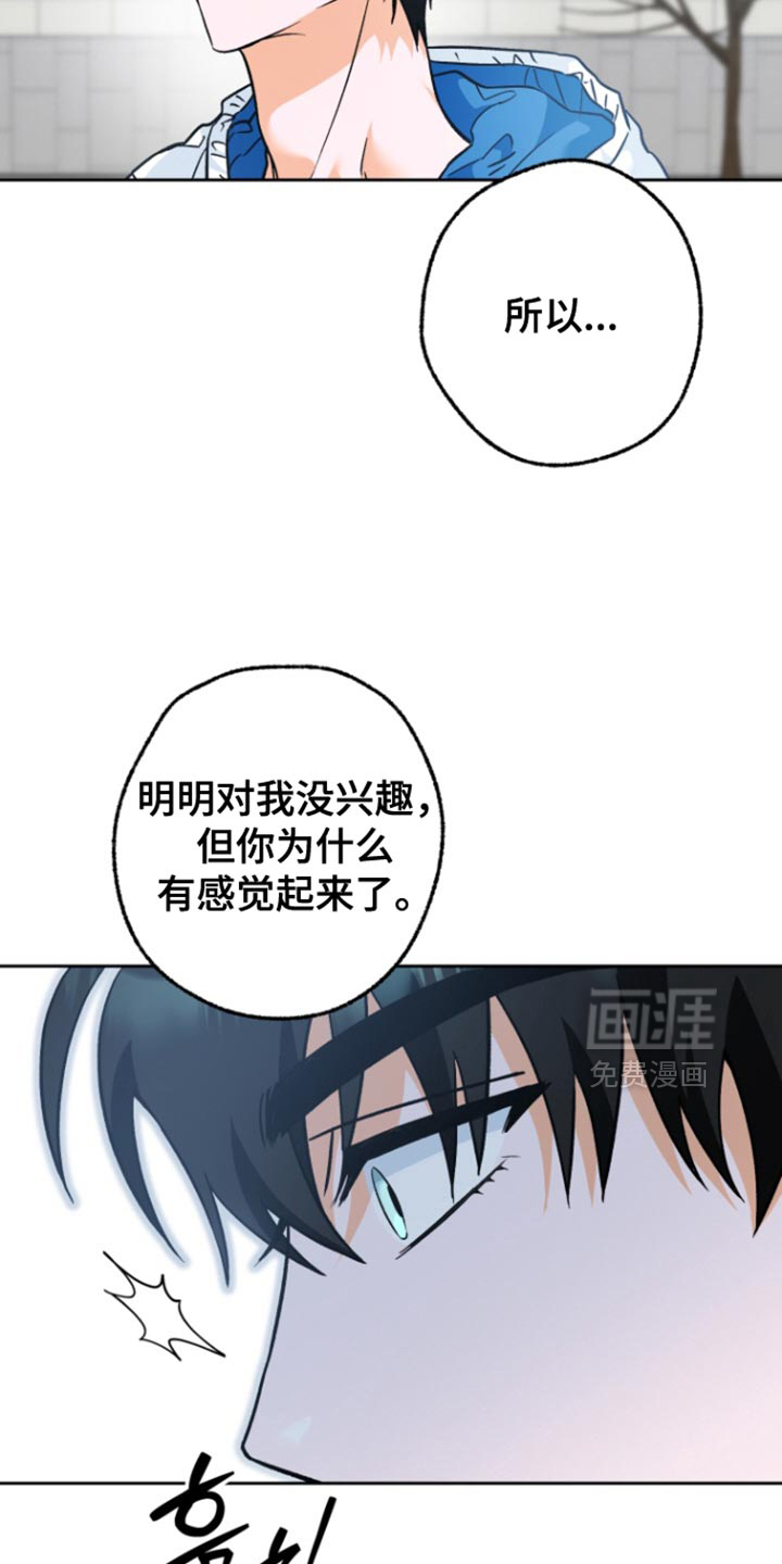 职业开发人员第17话图