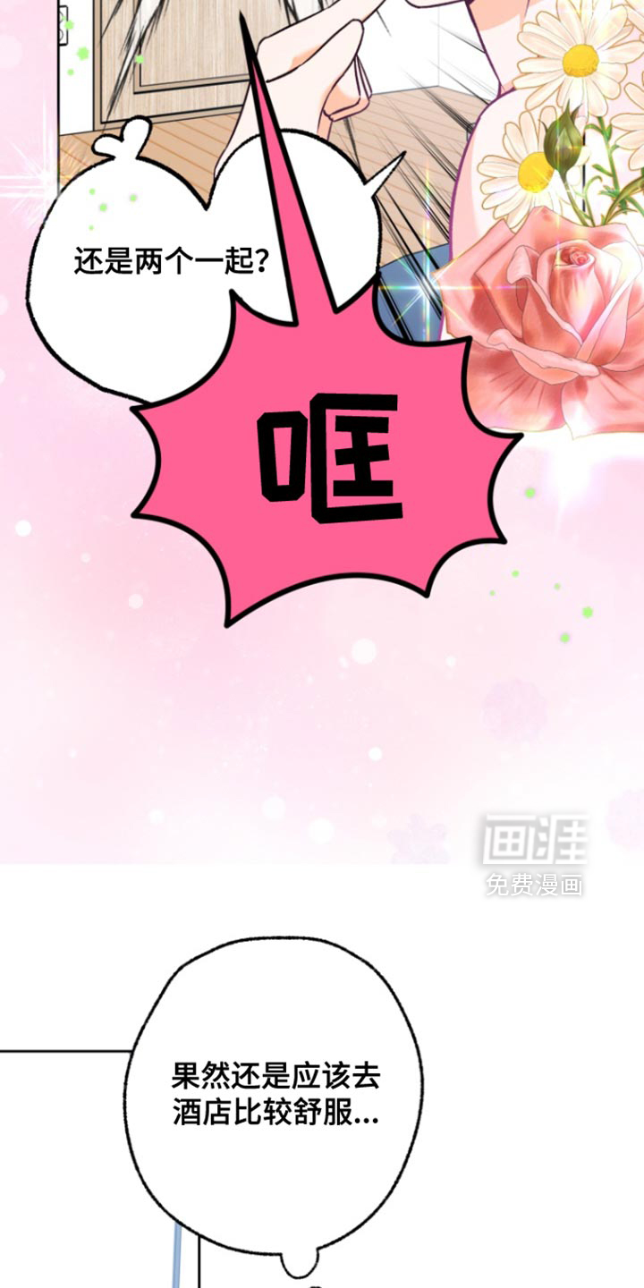 职业开发人员第19话图