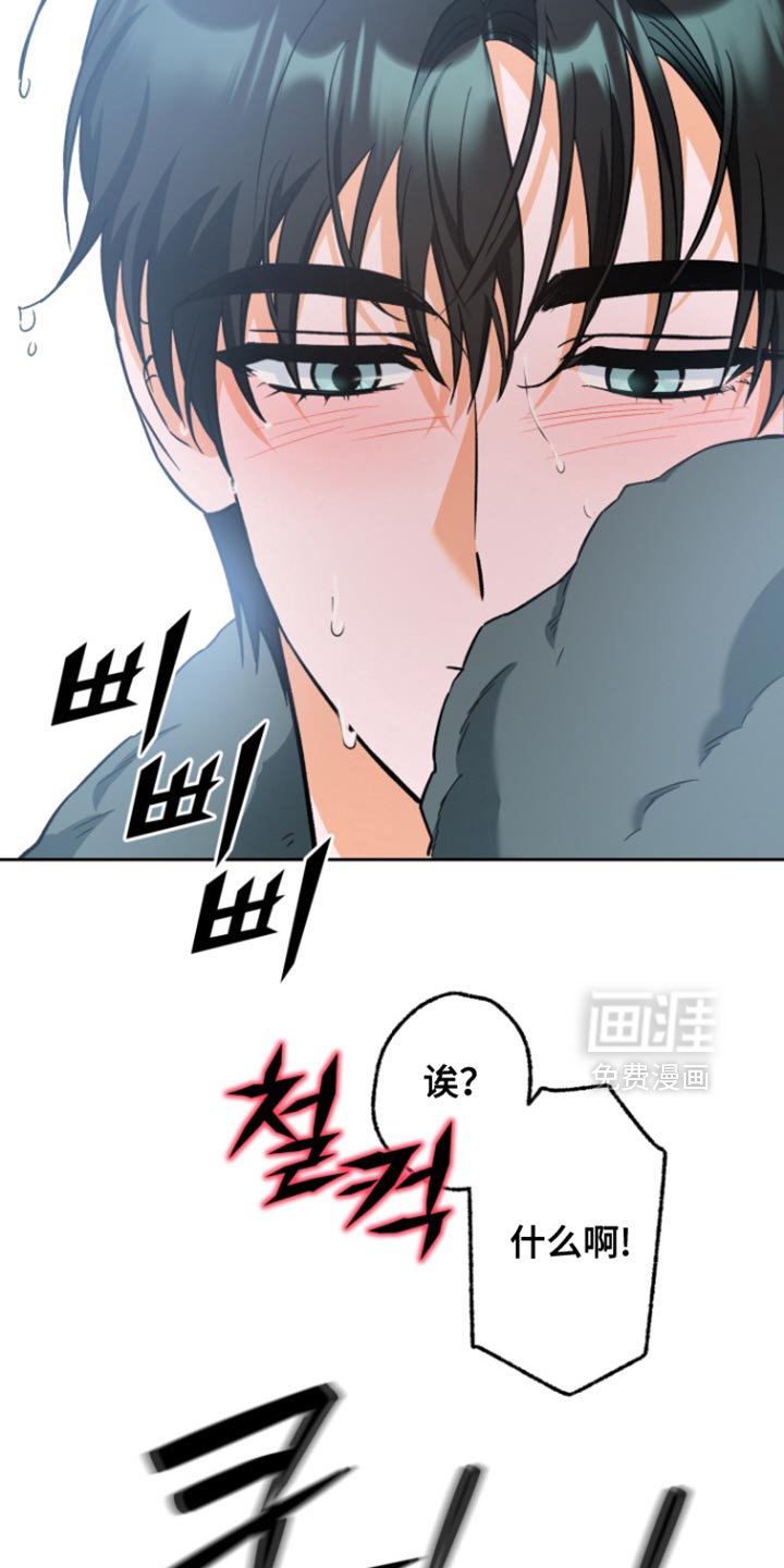 职业开发人员第19话图