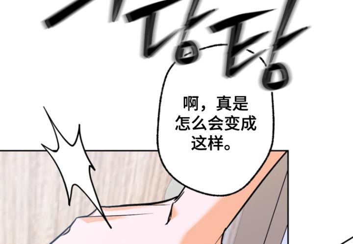 职业开发人员第19话图