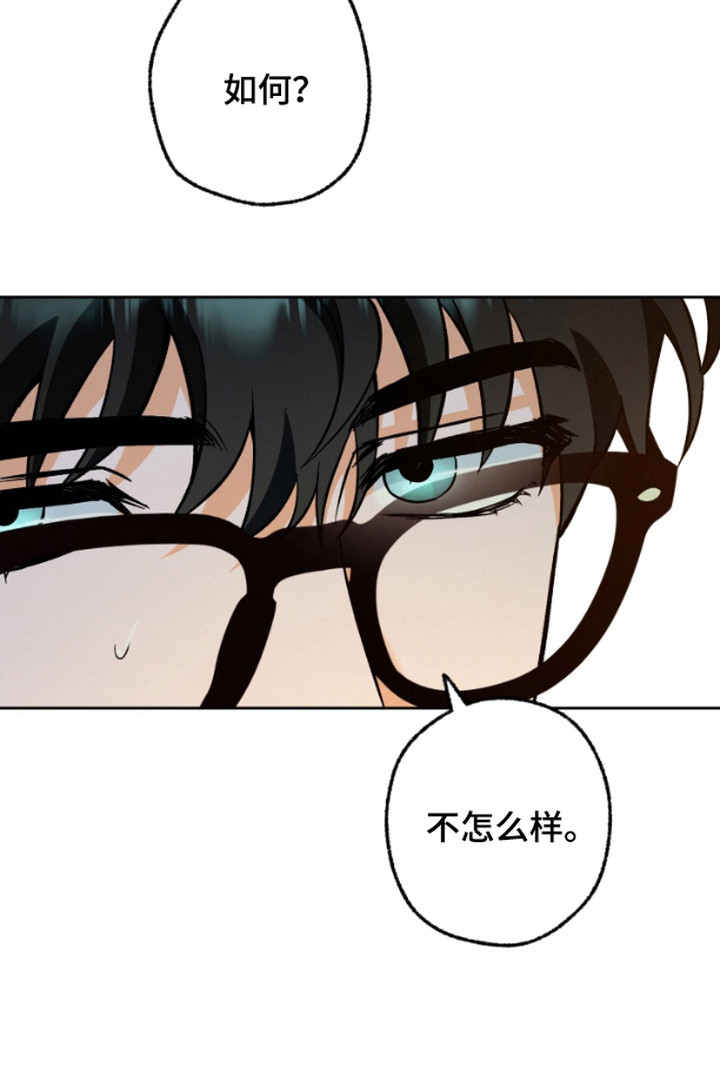职业开发人员第2话图