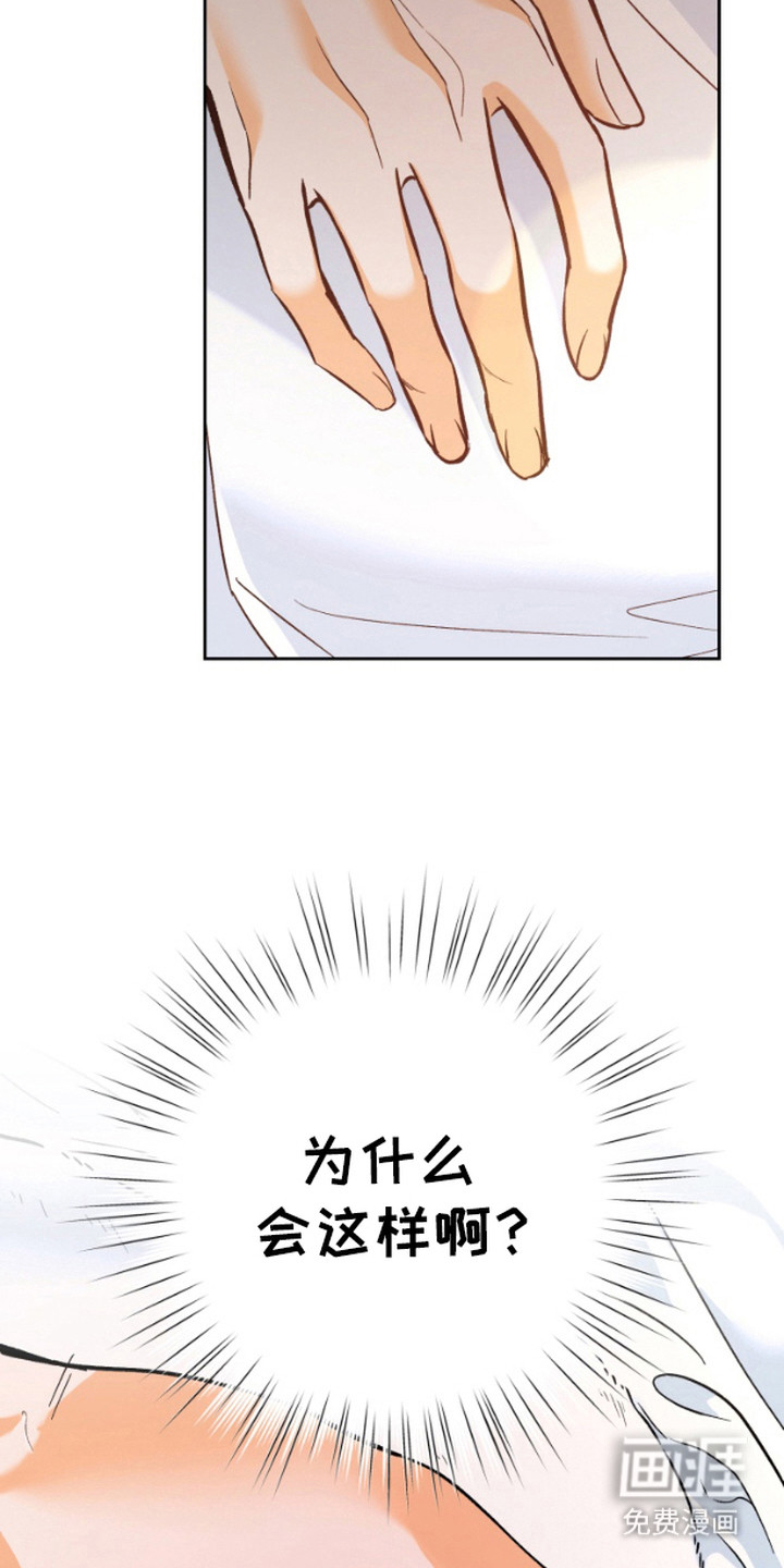 职业开发人员第4话图