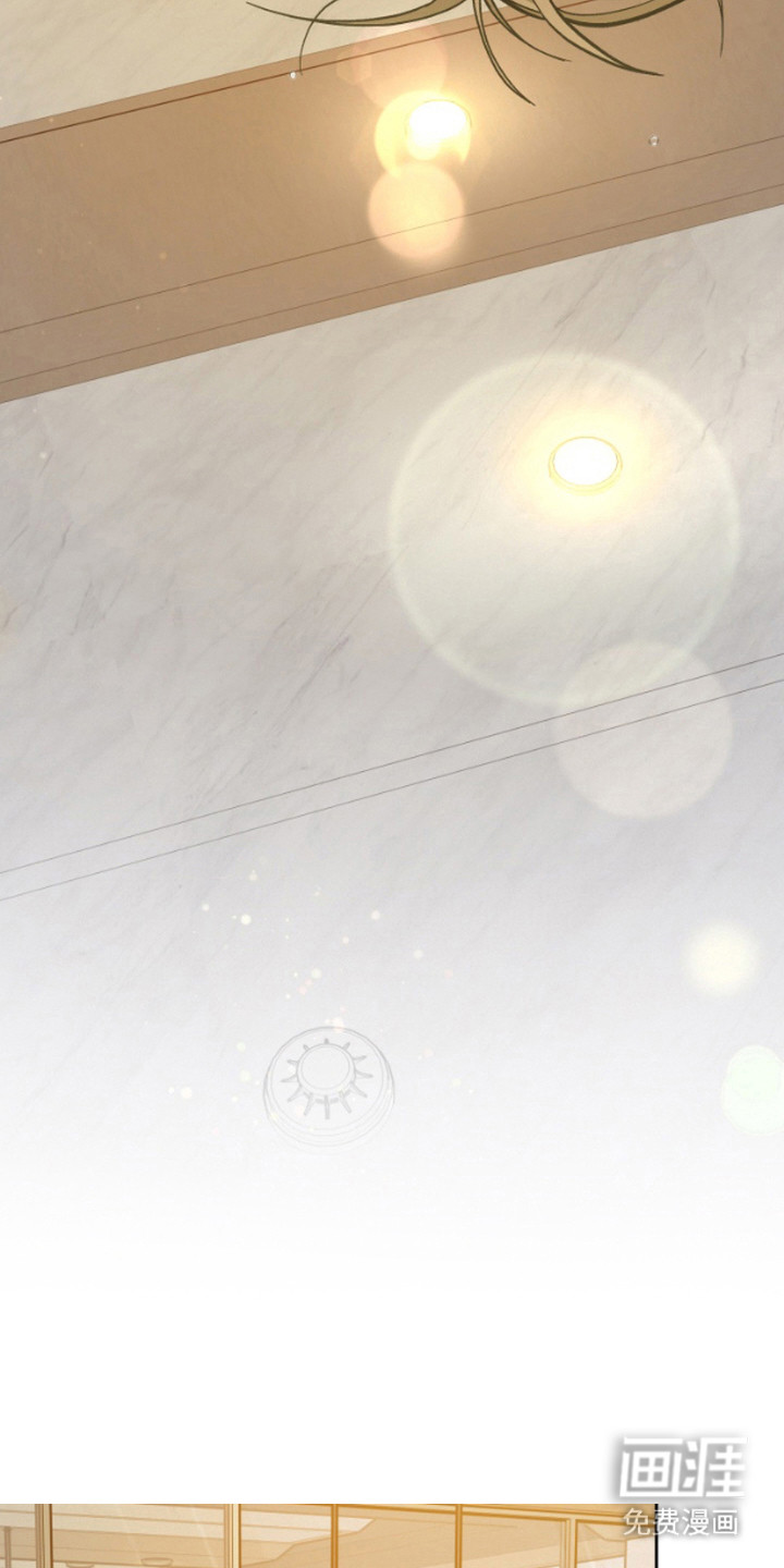 职业开发人员第4话图