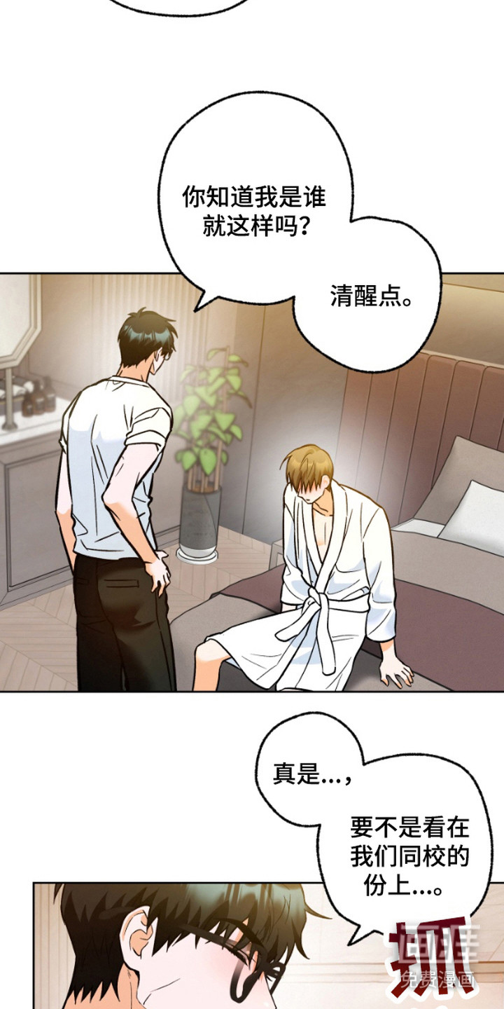 职业开发人员第4话图