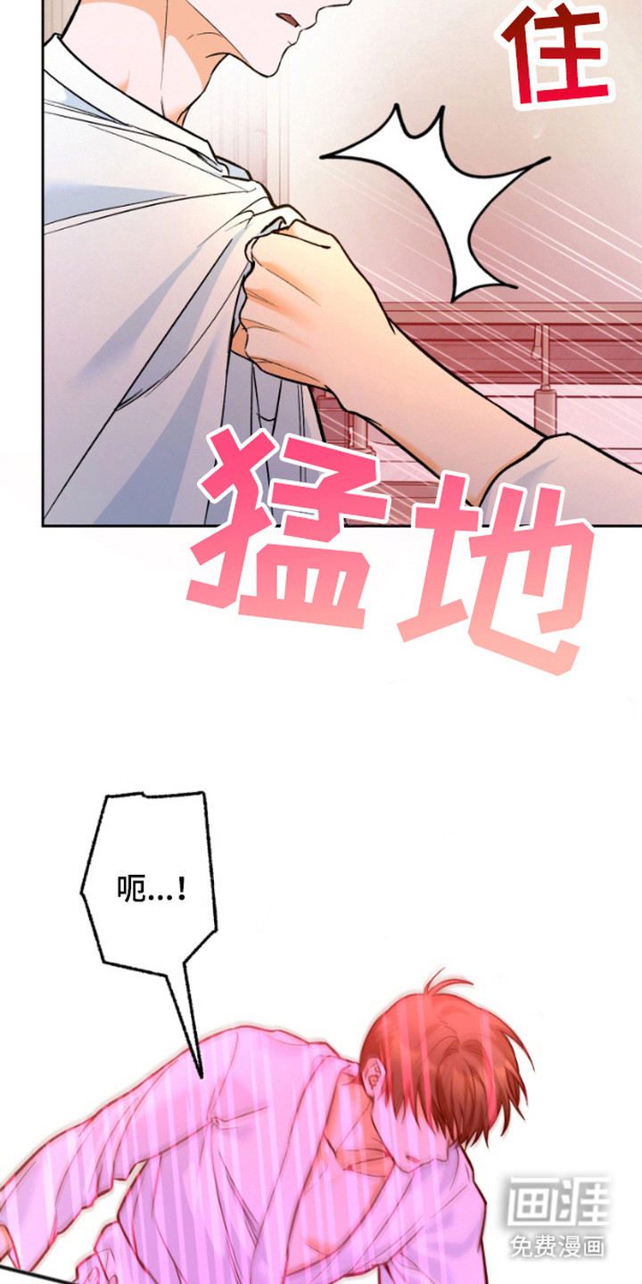 职业开发人员第4话图