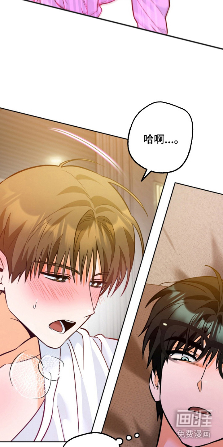 职业开发人员第4话图