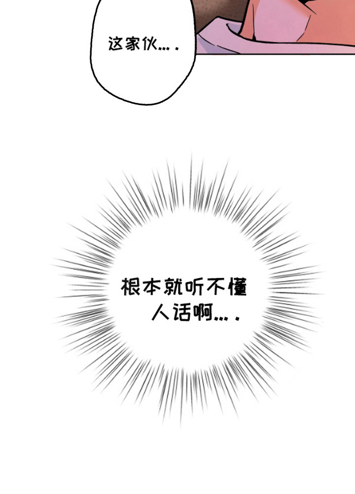 职业开发人员第4话图