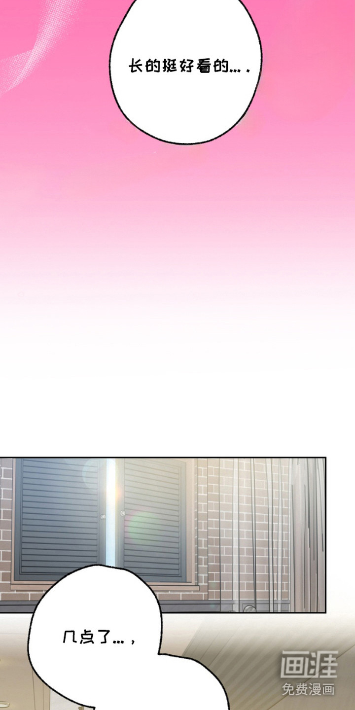 职业开发人员第5话图