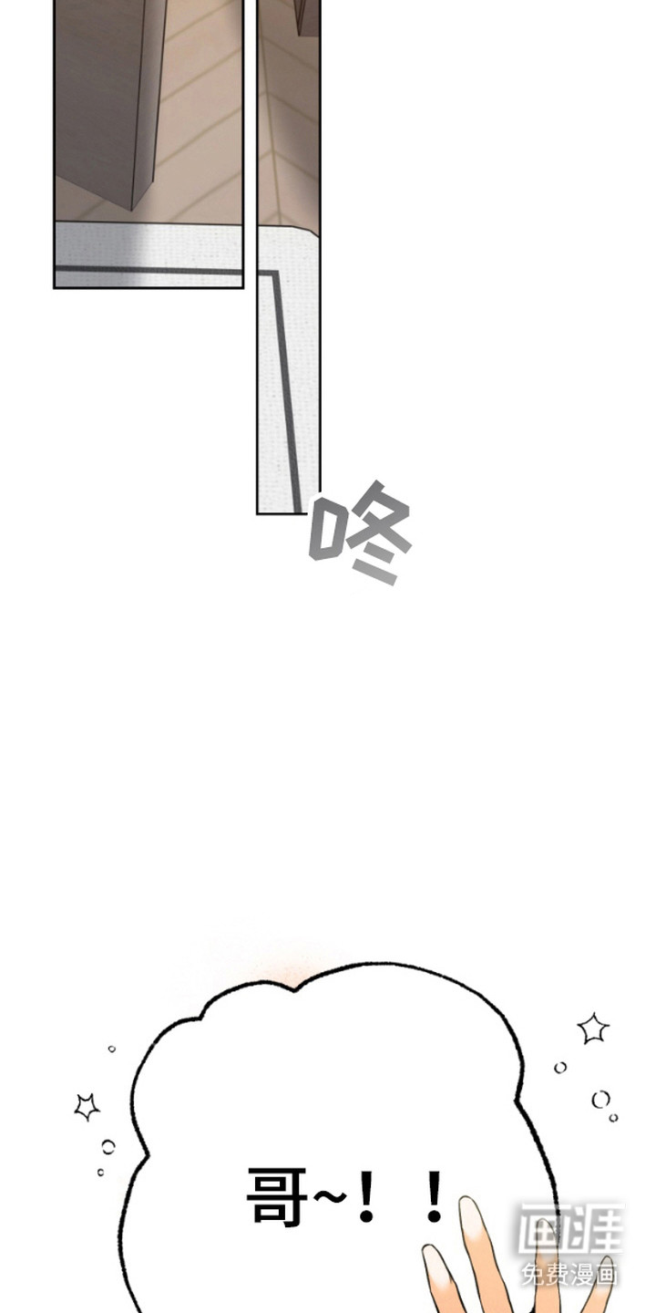 职业开发人员第5话图