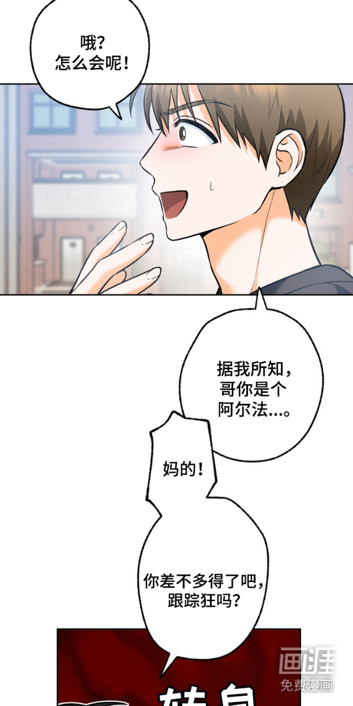 职业开发人员第6话图