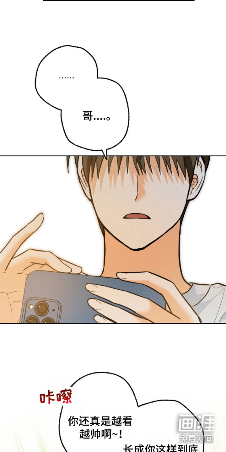 职业开发人员第7话图