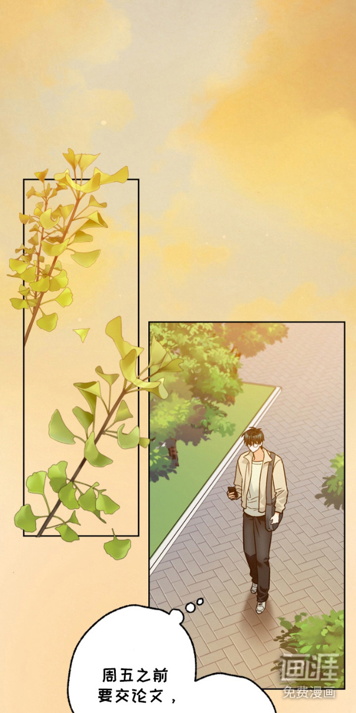 职业开发人员第9话图