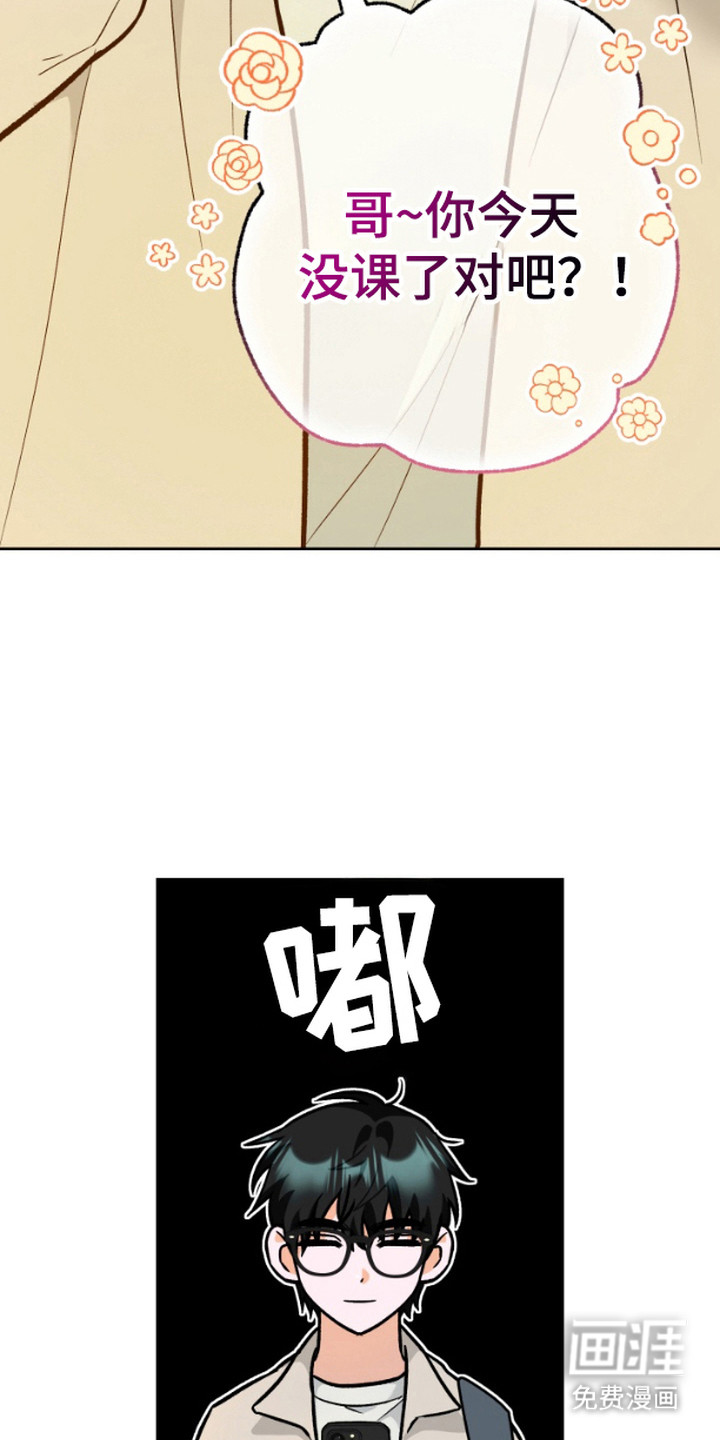 职业开发人员第9话图