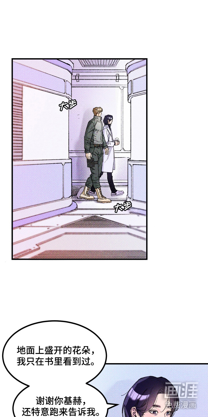 紫罗兰协议第3话图