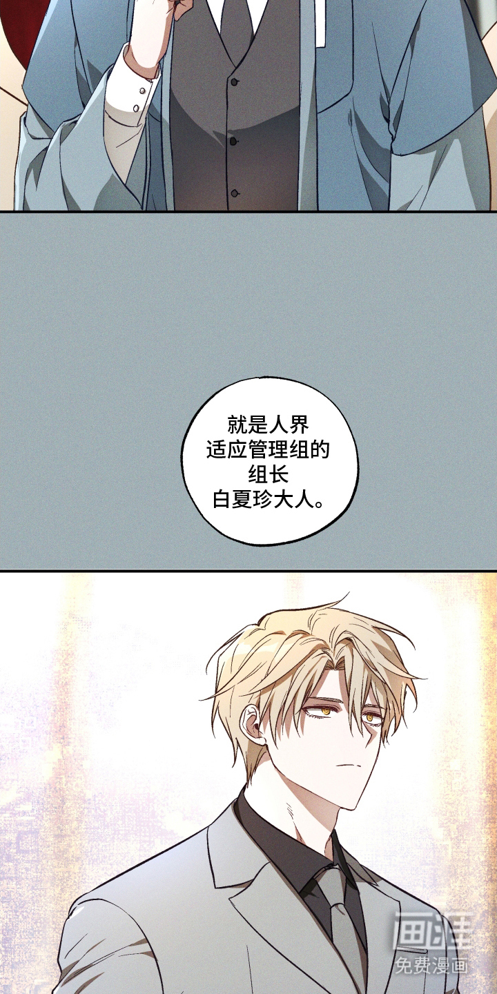 总裁的深渊契约第10话图