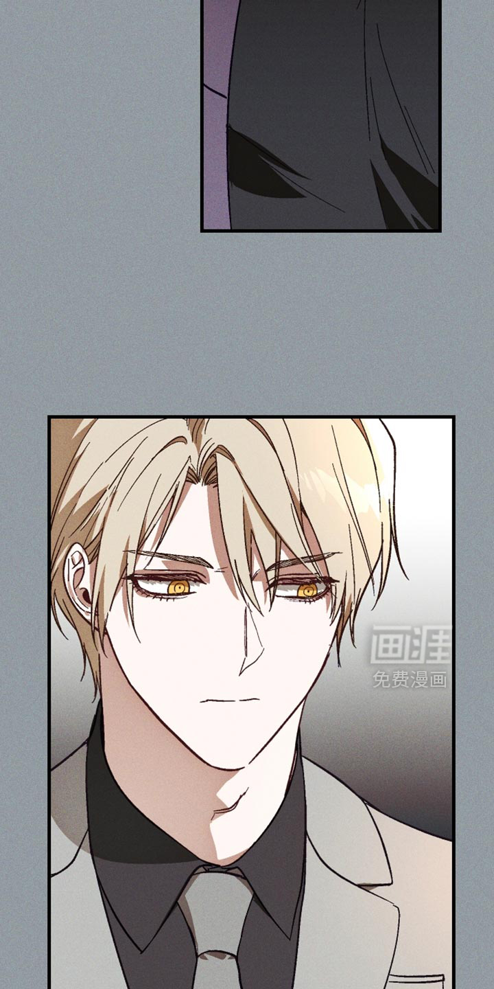 总裁的深渊契约第14话图