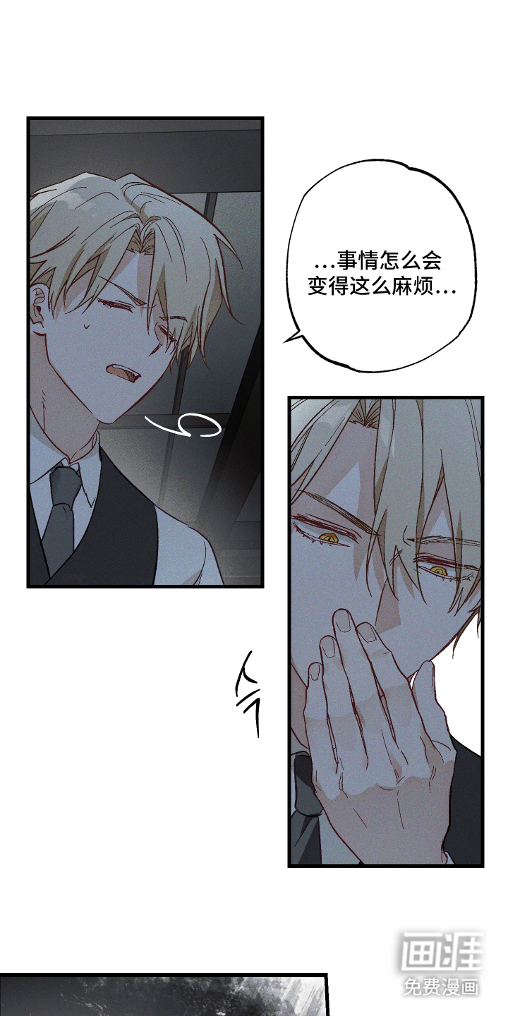 总裁的深渊契约第5话图