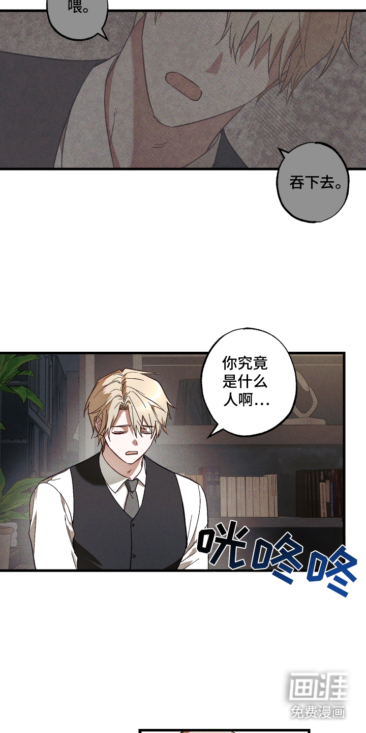 总裁的深渊契约第5话图