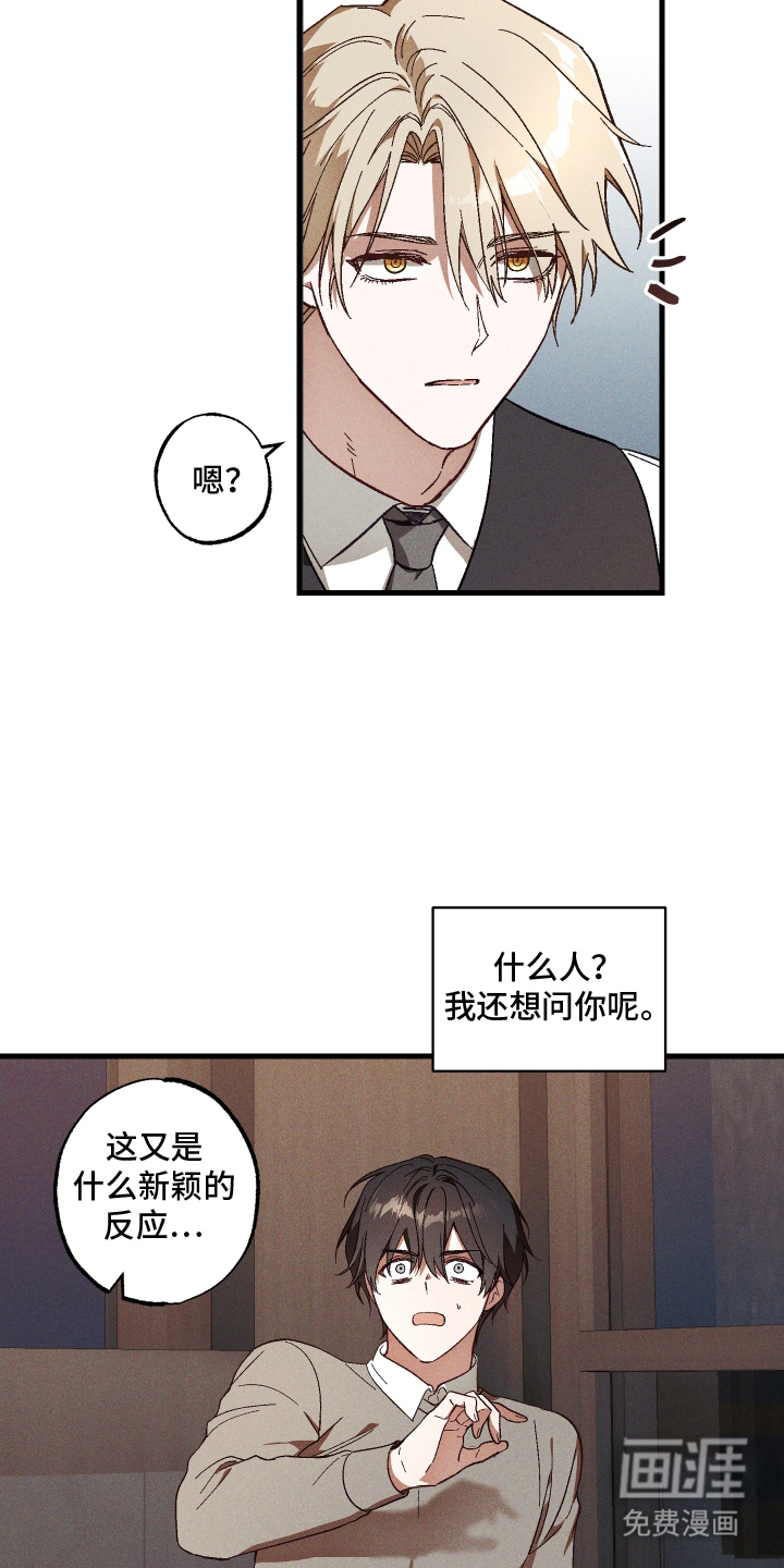 总裁的深渊契约第5话图