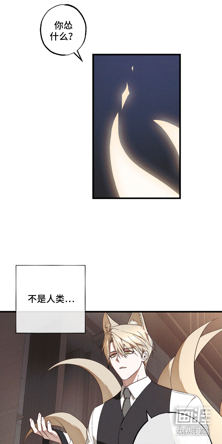 总裁的深渊契约第6话图