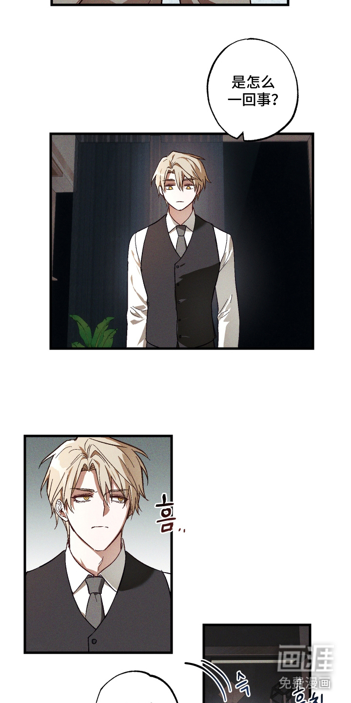 总裁的深渊契约第6话图