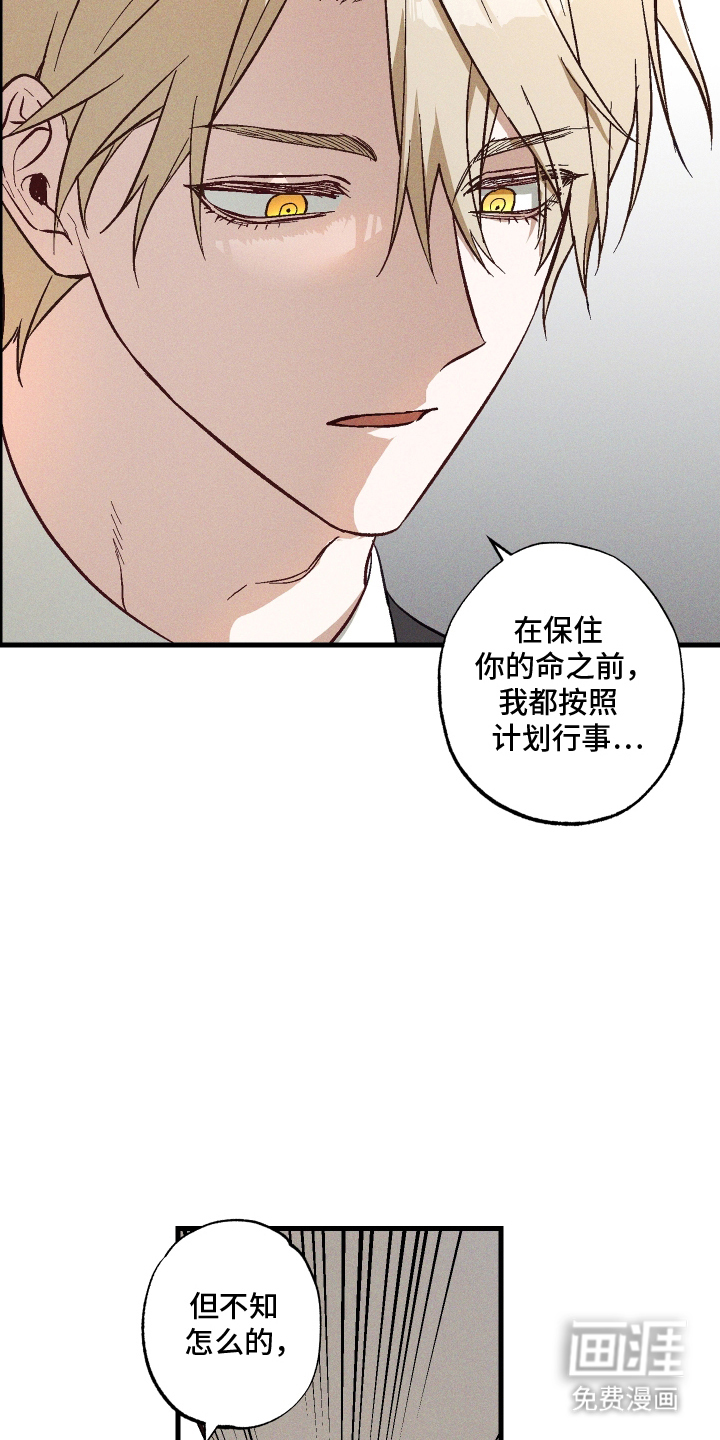 总裁的深渊契约第6话图