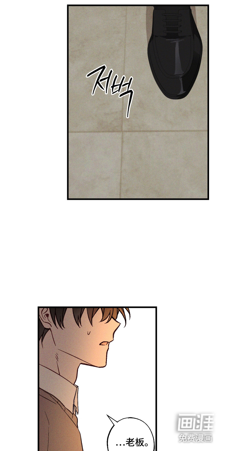 总裁的深渊契约第9话图