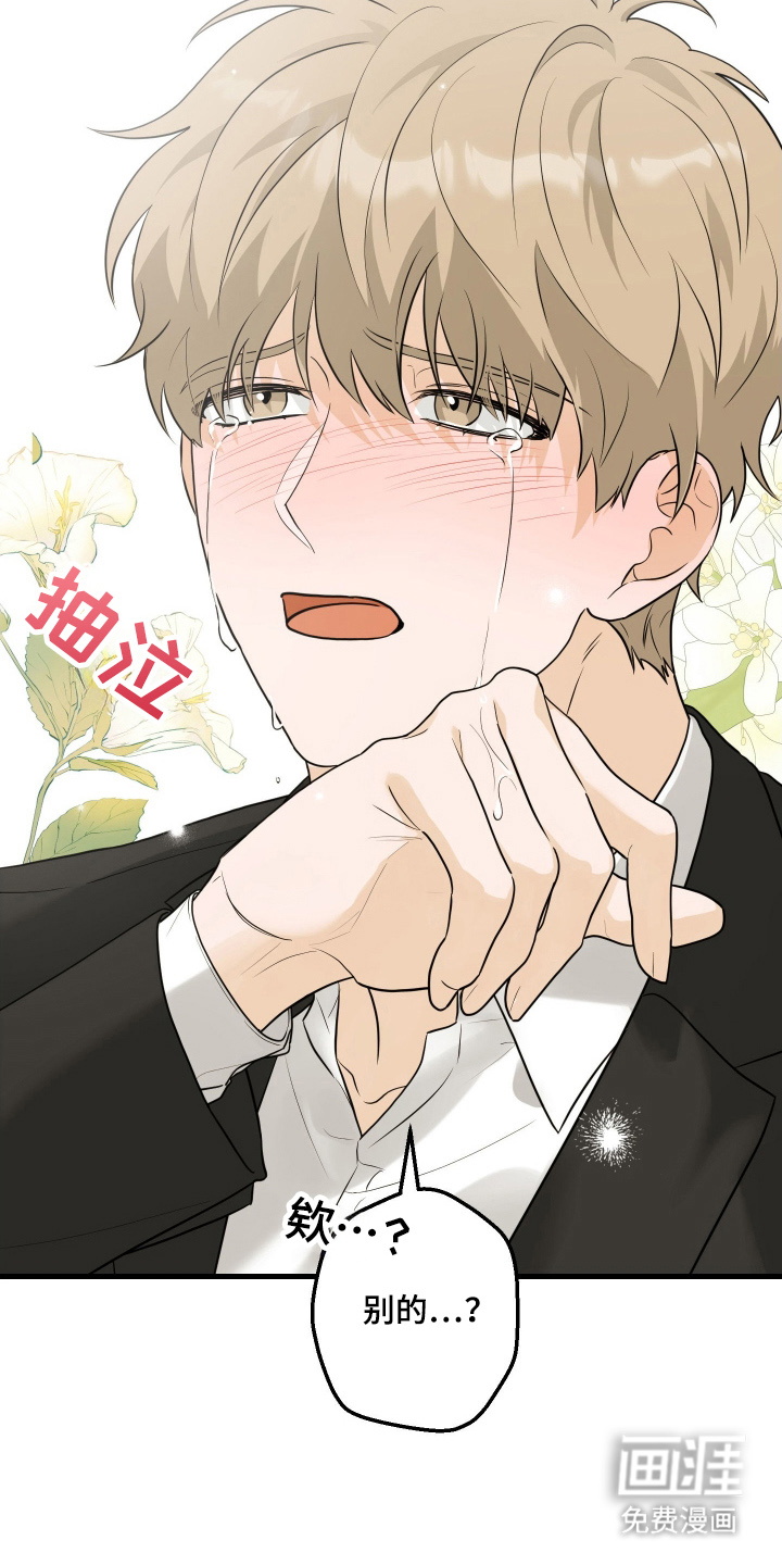 总裁的抵债情人 第1话 第3页