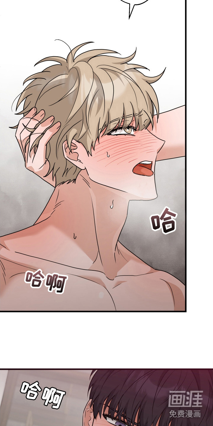 总裁的抵债情人 第19话 第5页