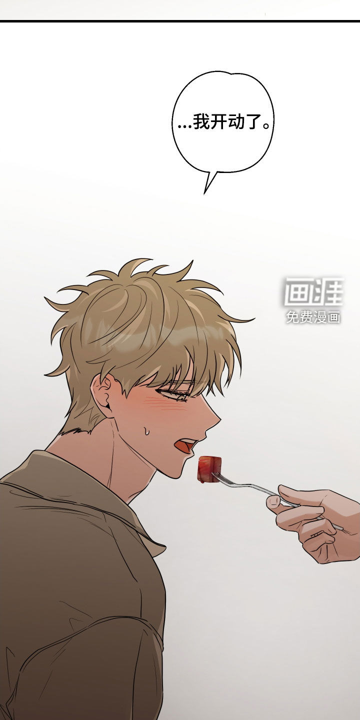 总裁的抵债情人 第24话 第14页